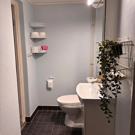 Rauhallinen Keskustamajoitus Palveluiden Aeaerellae * Sonkajärvi